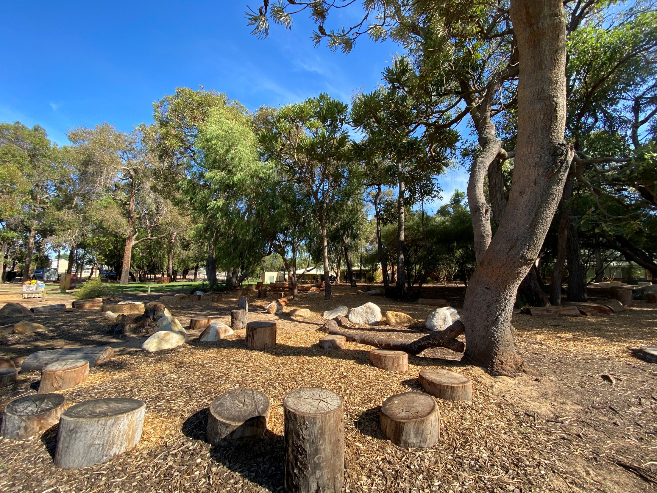 /uploaded_files/media/gallery/1773730945Nature Play 3.jpg